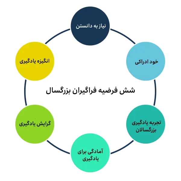 6 فرضیه یادگیری بزرگسالان